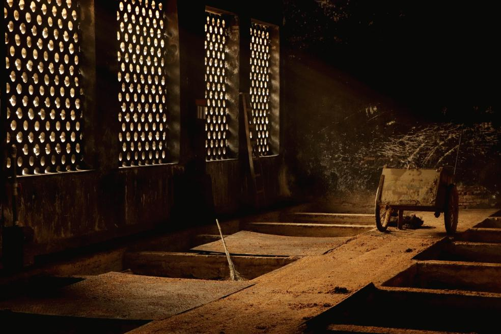 央媒點贊四特酒！ 深度解讀四特酒守正創新的品牌精神內核